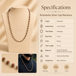 Divine Rudraksha Necklace - 54 Bead