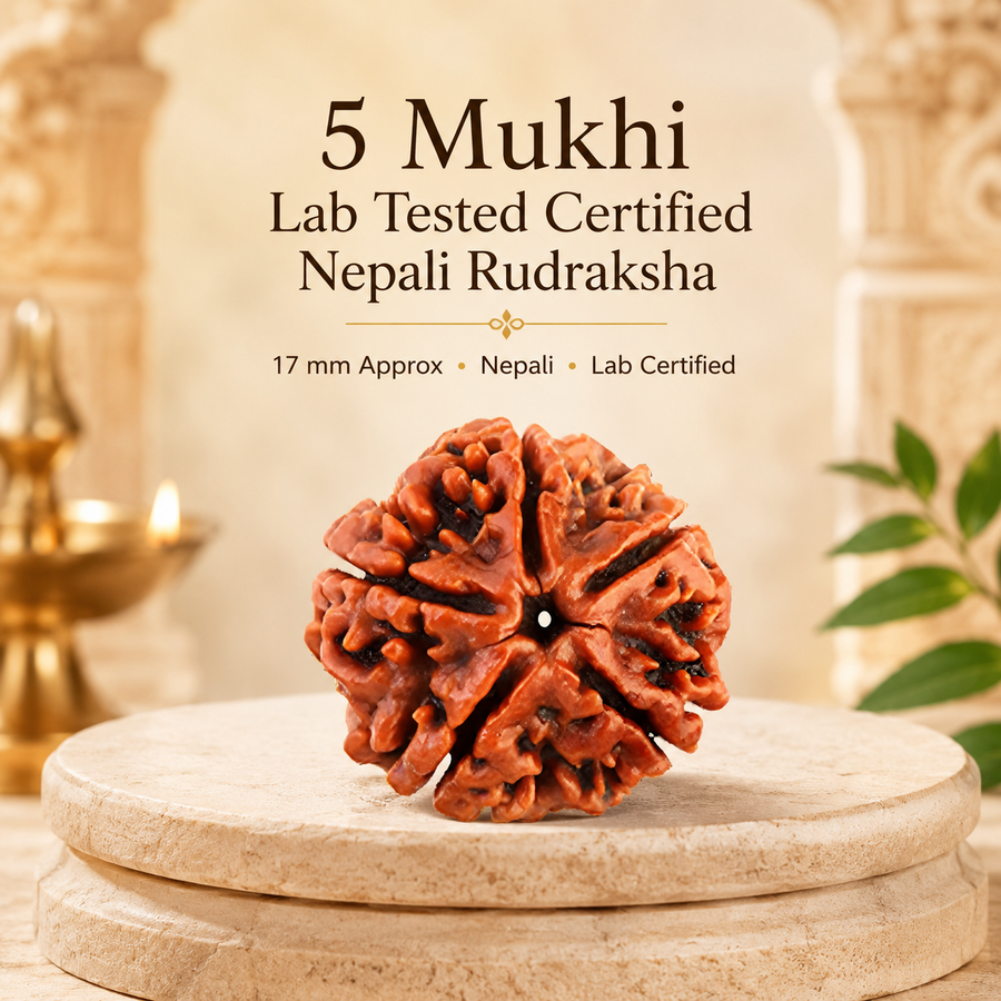 5 Mukhi Lab Tested Certified Nepali Rudraksha