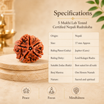 5 Mukhi Lab Tested Certified Nepali Rudraksha