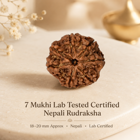 7 Mukhi Lab Tested Certified Nepali Rudraksha (18 - 20mm)